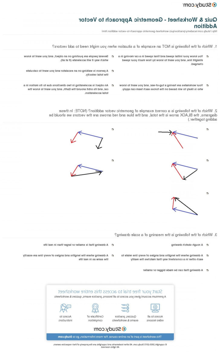 Vector Worksheet Physics