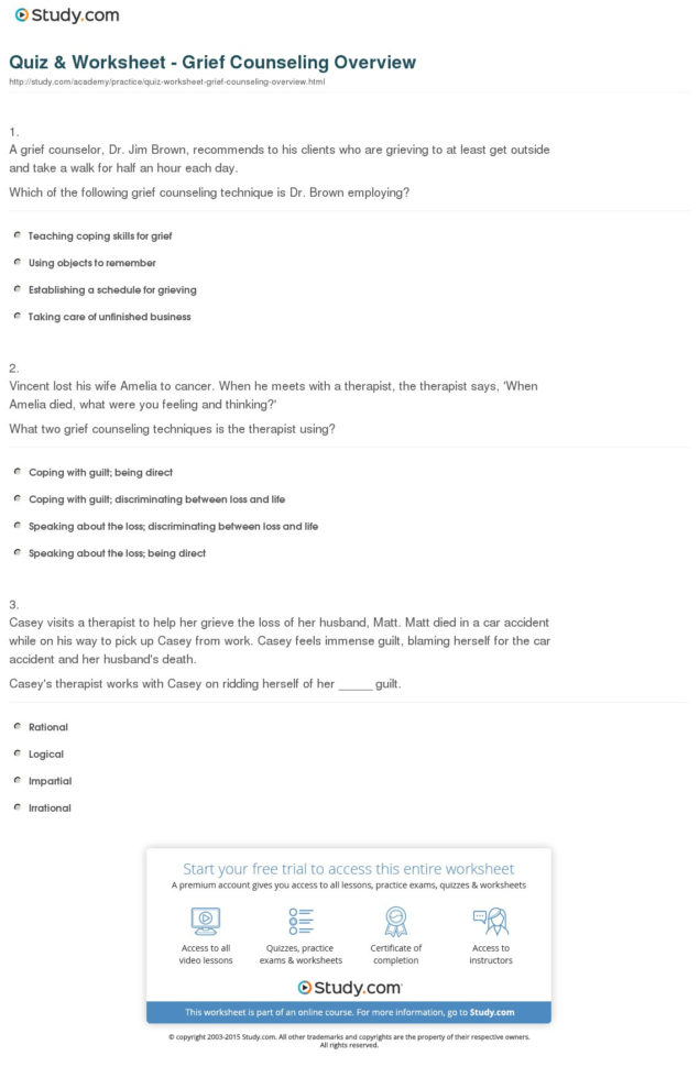 Quiz  Worksheet  Grief Counseling Overview  Study