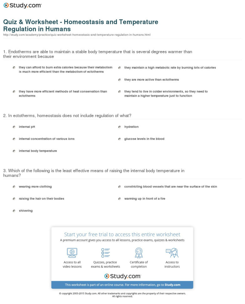 Quiz  Worksheet  Homeostasis And Temperature Regulation In