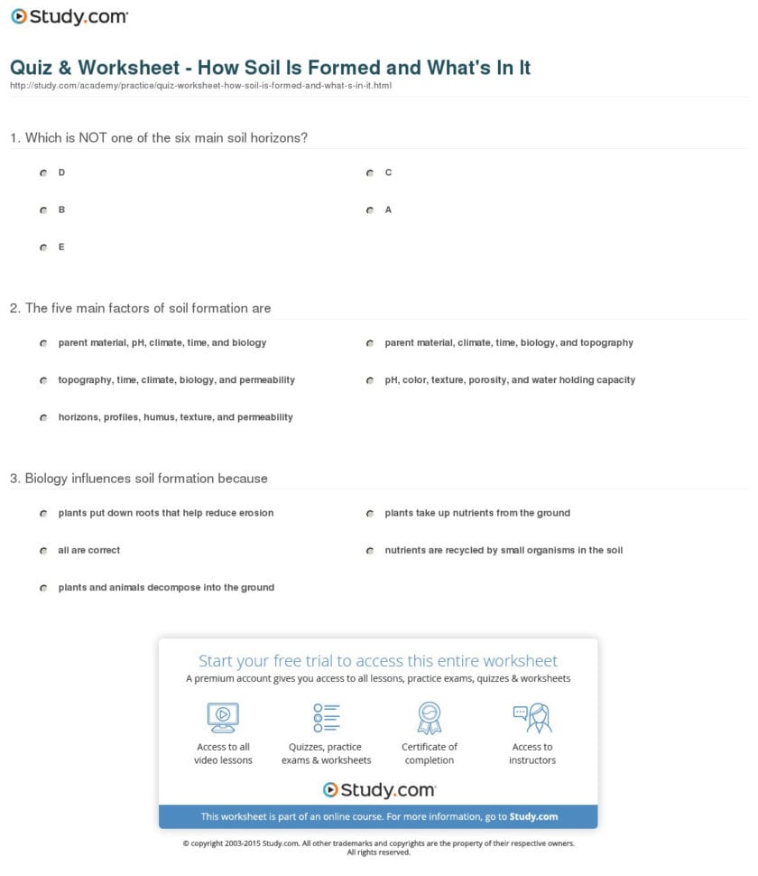 Quiz  Worksheet  How Soil Is Formed And What's In It