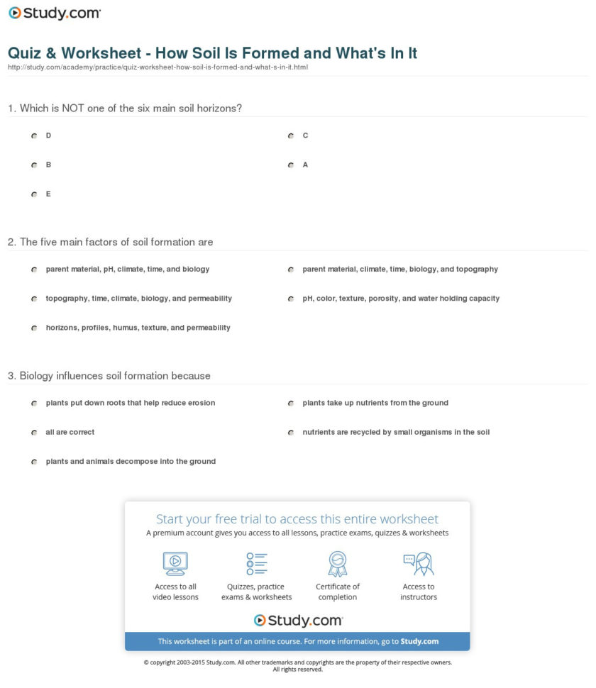 Quiz  Worksheet  How Soil Is Formed And What's In It