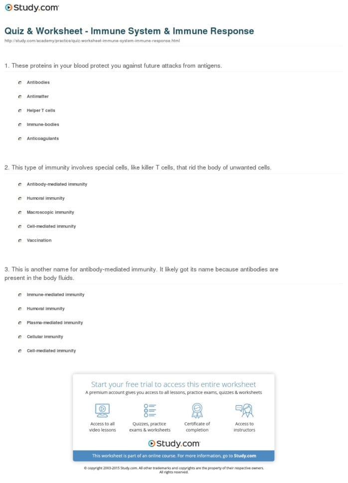 Quiz  Worksheet  Immune System  Immune Response  Study
