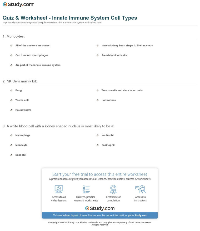 Quiz  Worksheet  Innate Immune System Cell Types  Study