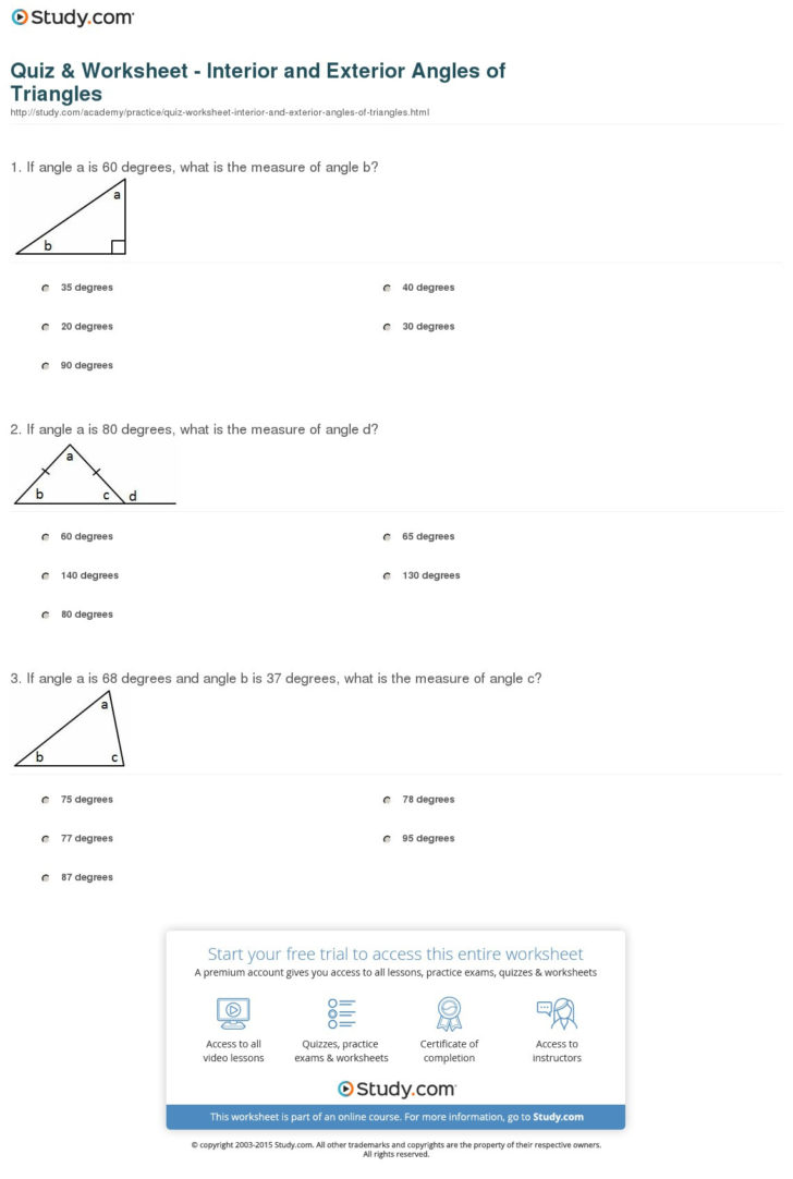 4 2 Skills Practice Angles Of Triangles Worksheet Answers