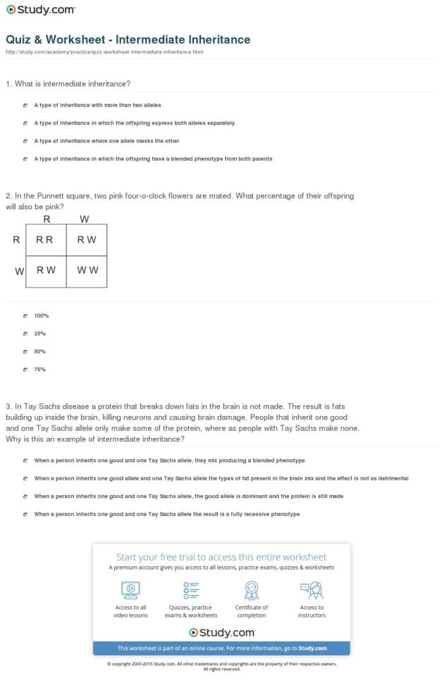 Quiz  Worksheet  Intermediate Inheritance  Study