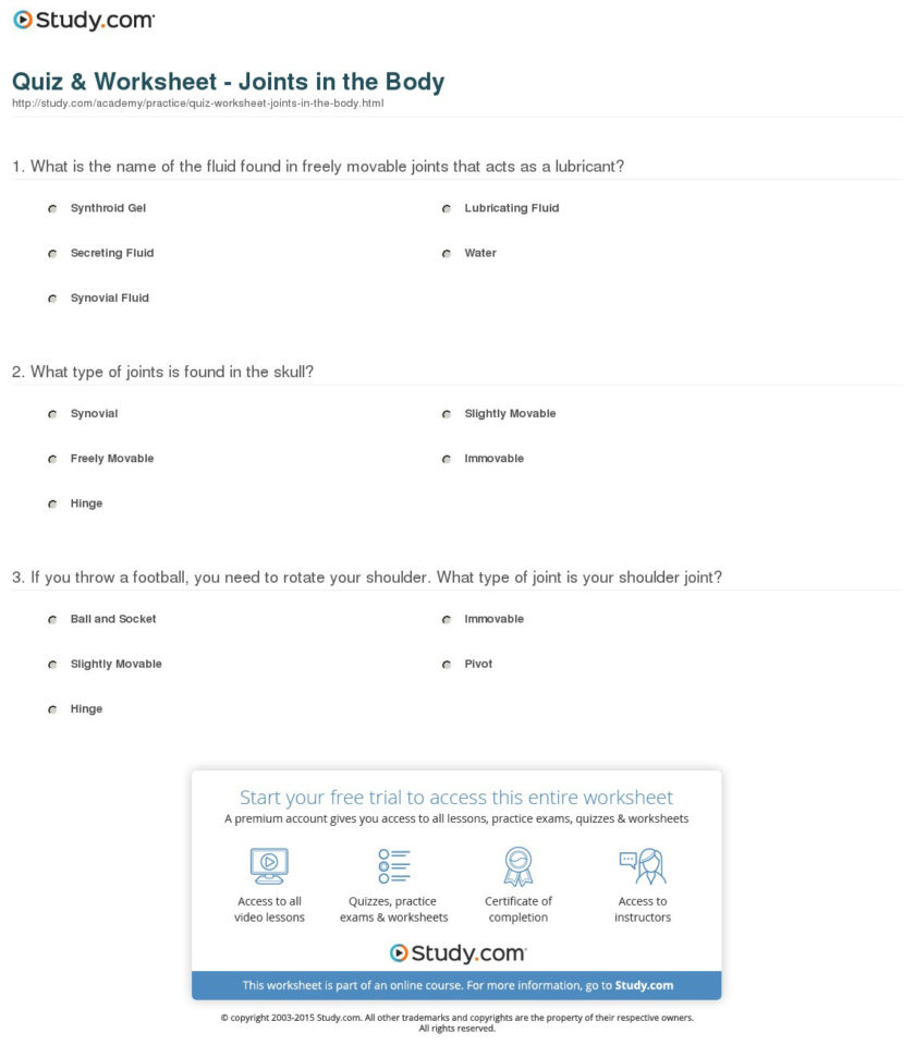 Quiz  Worksheet  Joints In The Body  Study