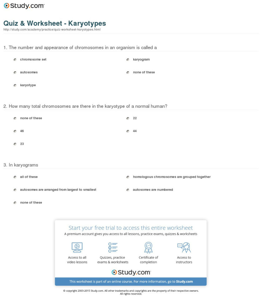 Quiz  Worksheet  Karyotypes  Study