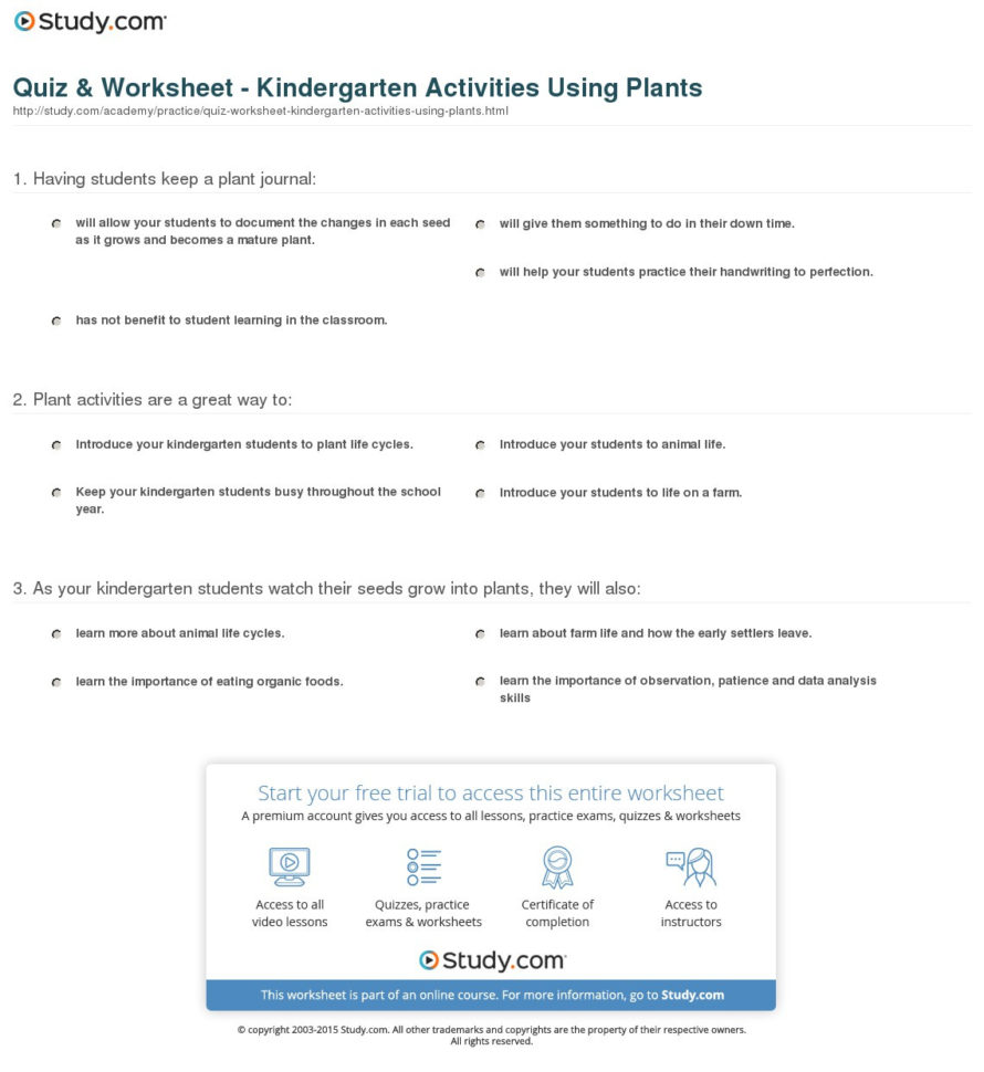 Quiz  Worksheet  Kindergarten Activities Using Plants