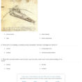 Quiz  Worksheet  Leonardo Da Vinci Art  Inventions