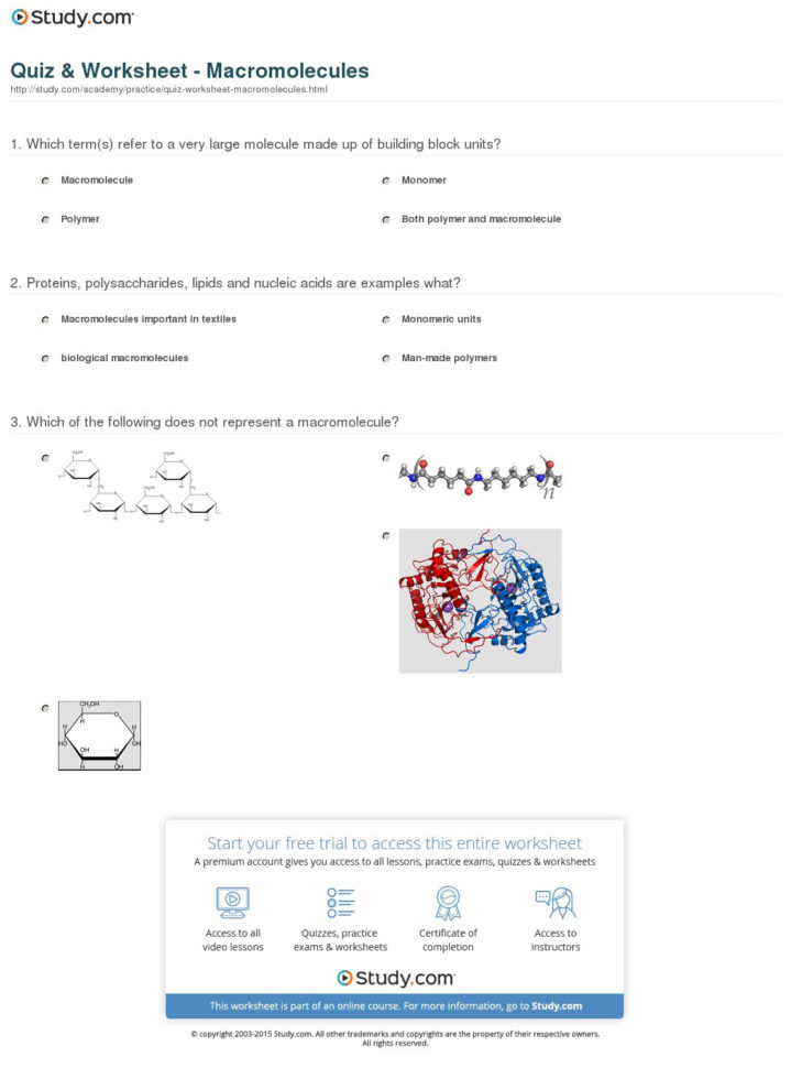 Quiz  Worksheet  Macromolecules  Study