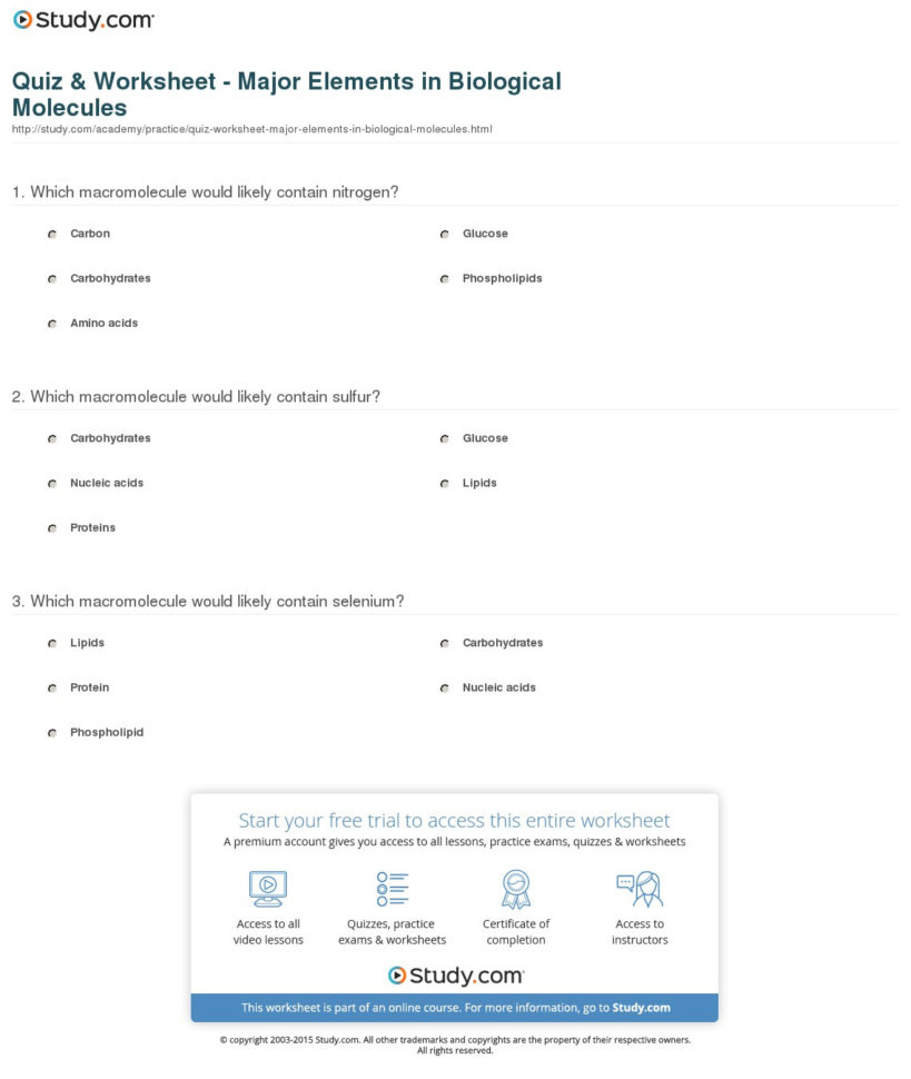 Quiz  Worksheet  Major Elements In Biological Molecules