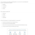 Quiz  Worksheet  Making A Concept Map  Study