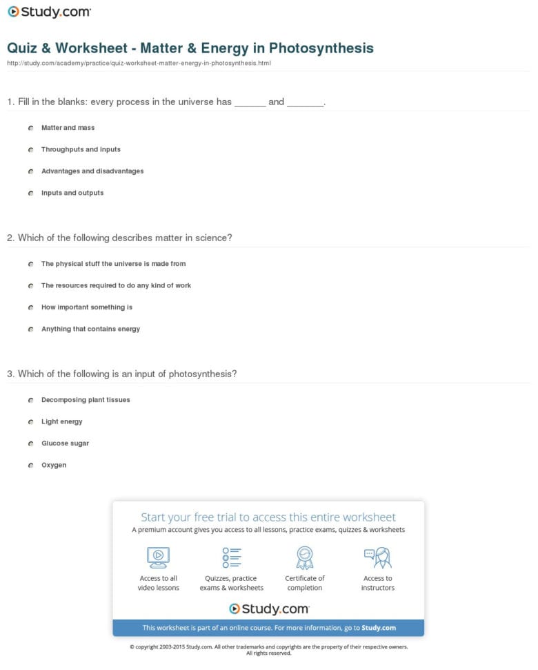 Quiz  Worksheet  Matter  Energy In Photosynthesis  Study Quiz  Worksheet  Matter  Energy In Photosynthesis  Study