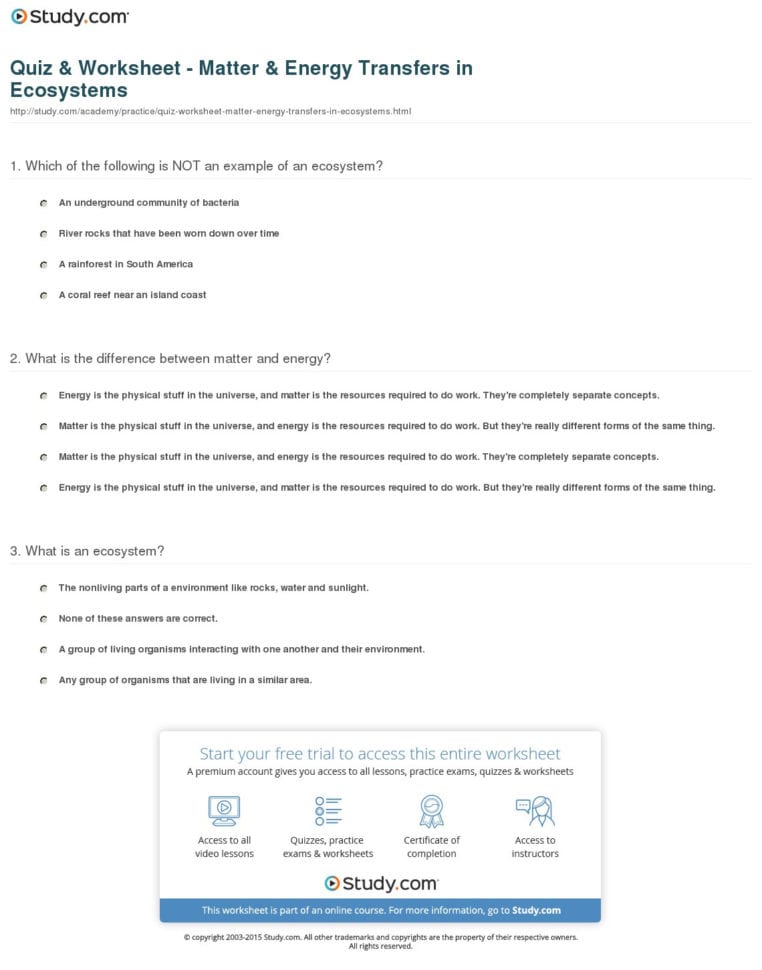 Quiz  Worksheet  Matter  Energy Transfers In Ecosystems