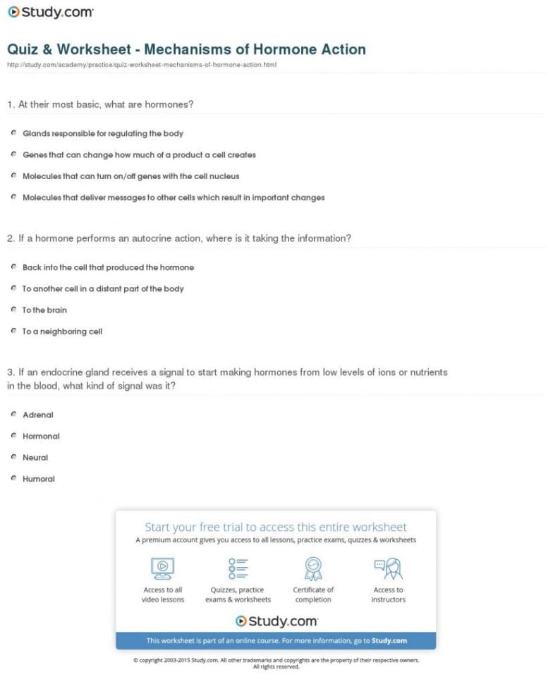 Quiz Worksheet Mechanisms Of Human Endocrine Hormones