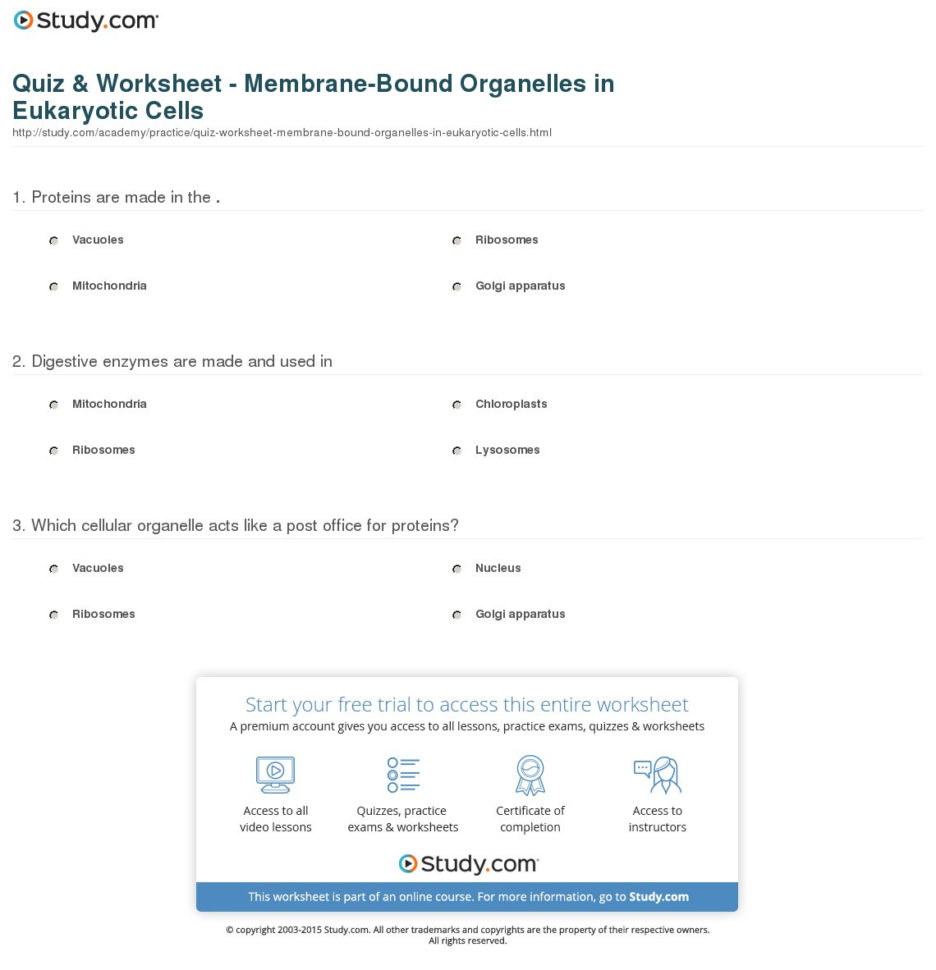 Quiz  Worksheet  Membranebound Organelles In Eukaryotic