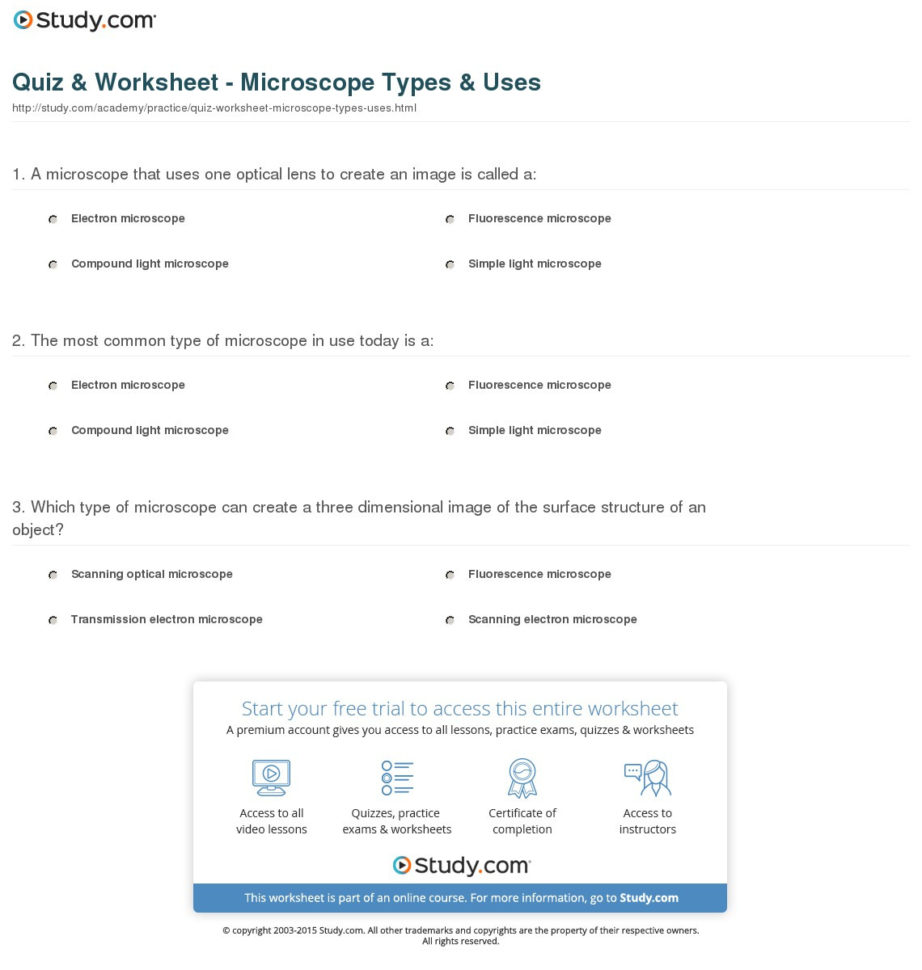 Quiz  Worksheet  Microscope Types  Uses  Study