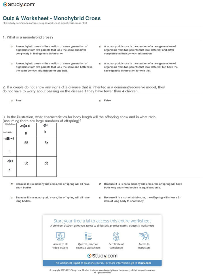 Quiz  Worksheet  Monohybrid Cross  Study