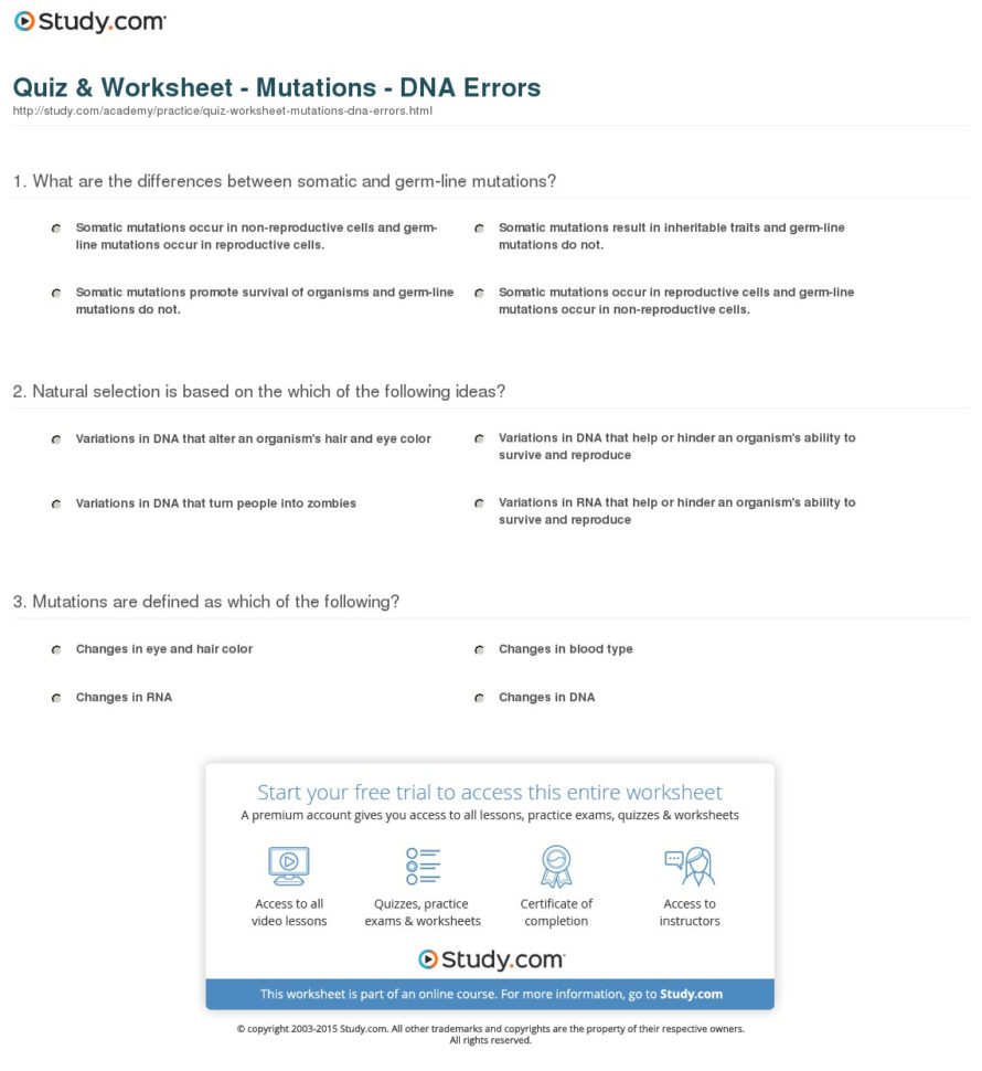 Quiz  Worksheet  Mutations  Dna Errors  Study