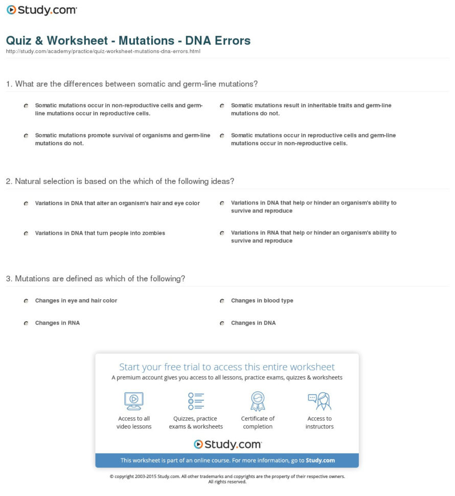 Quiz  Worksheet  Mutations  Dna Errors  Study