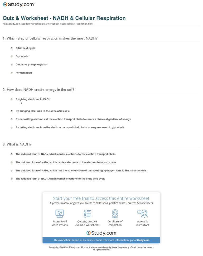 Quiz  Worksheet  Nadh  Cellular Respiration  Study