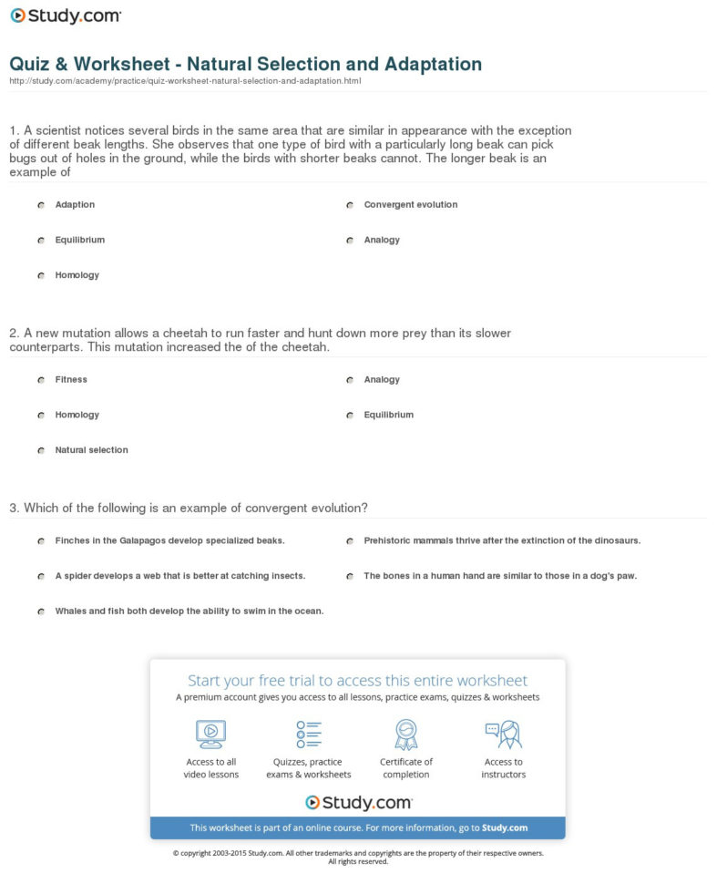 Quiz  Worksheet  Natural Selection And Adaptation  Study