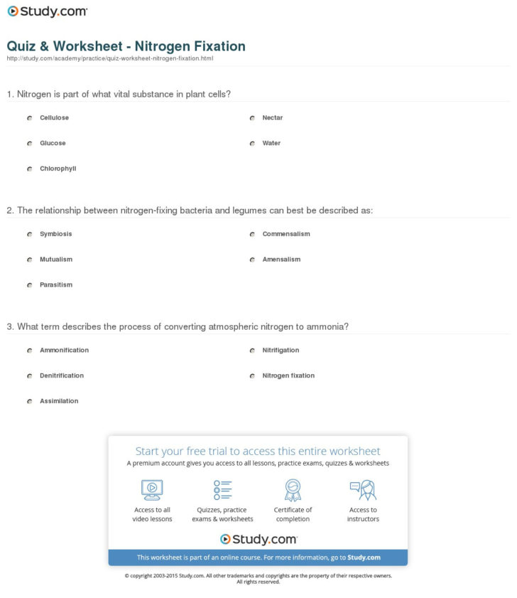Nitrogen Cycle Worksheet Answer Key