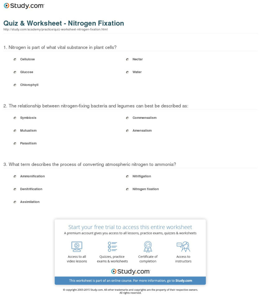 Quiz  Worksheet  Nitrogen Fixation  Study