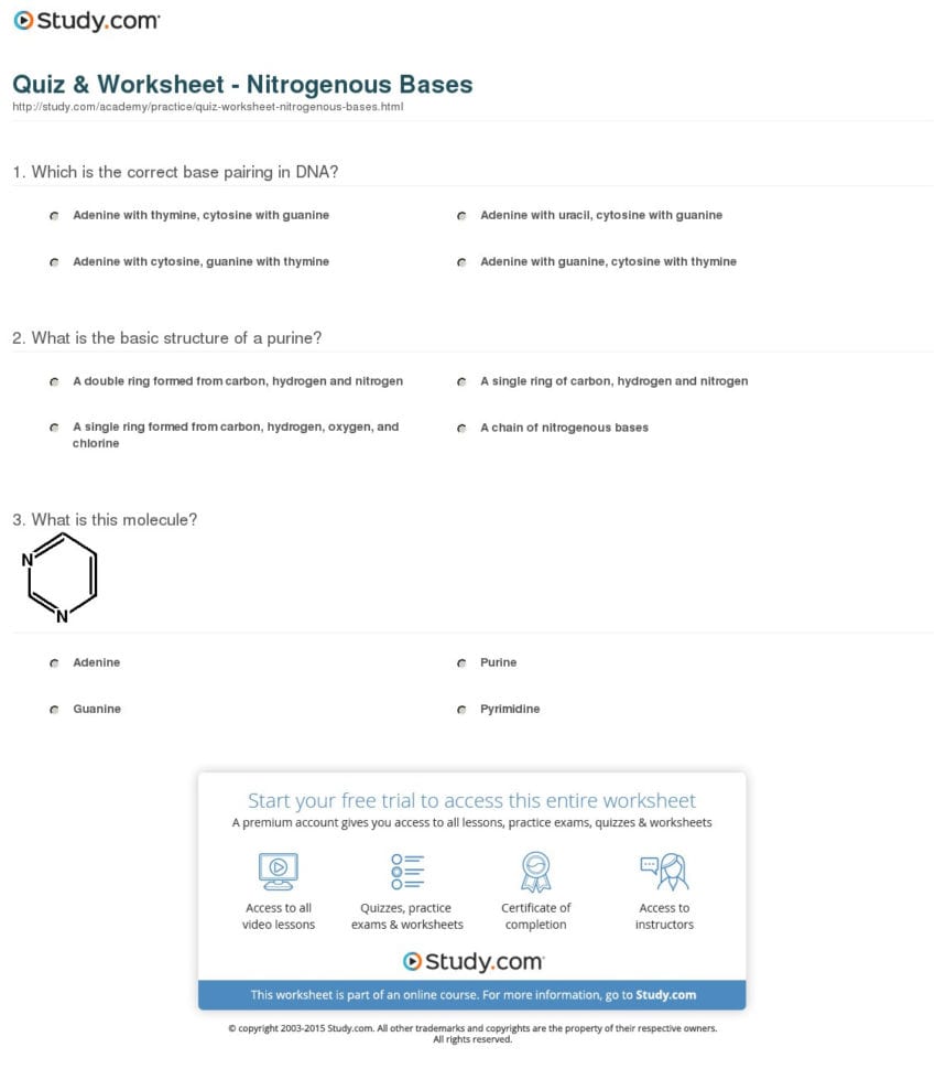 Quiz  Worksheet  Nitrogenous Bases  Study