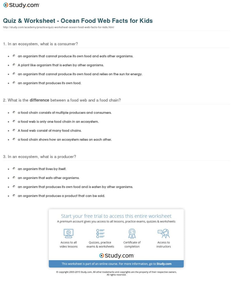 Quiz  Worksheet  Ocean Food Web Facts For Kids  Study
