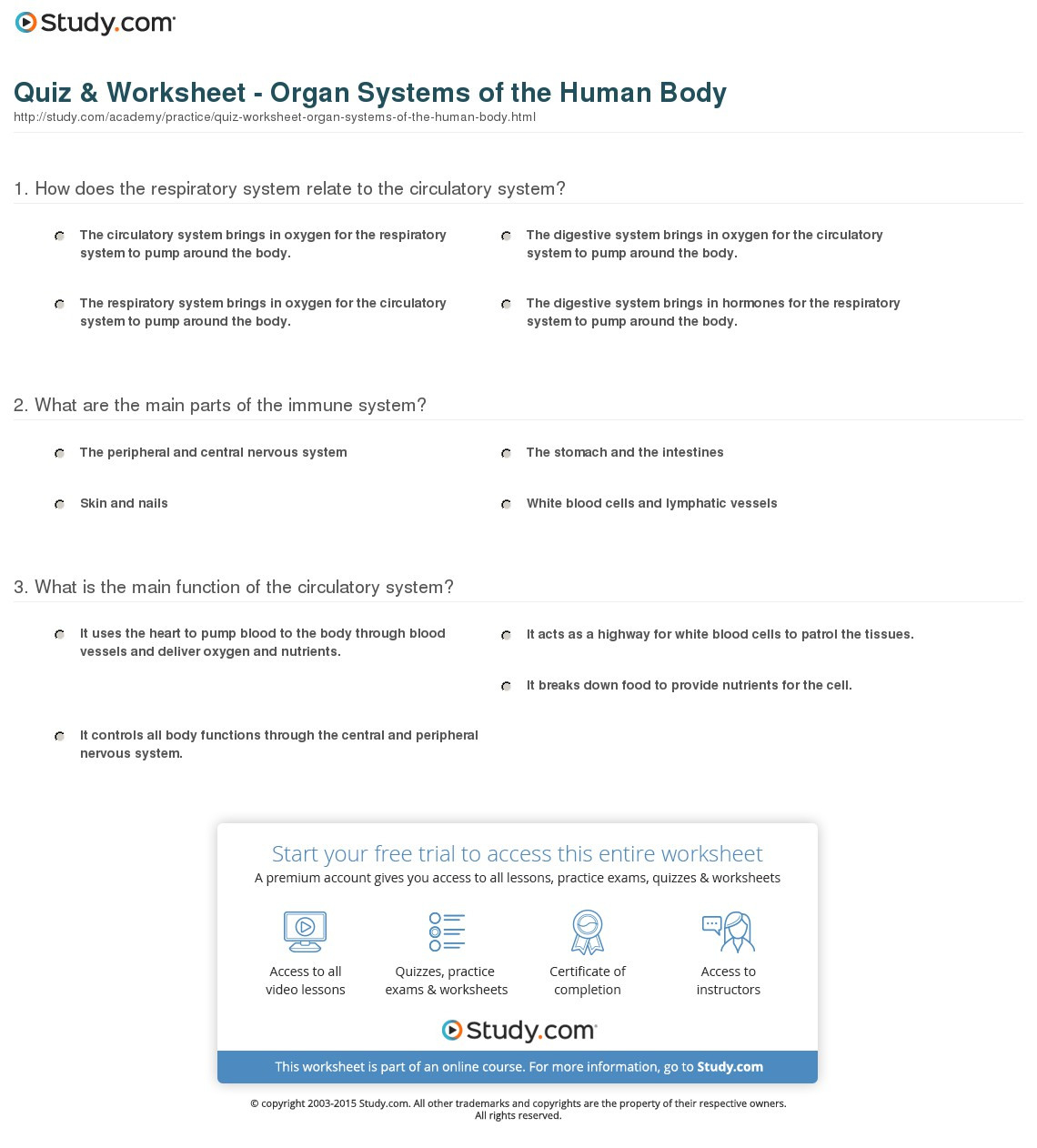 Quiz  Worksheet  Organ Systems Of The Human Body  Study