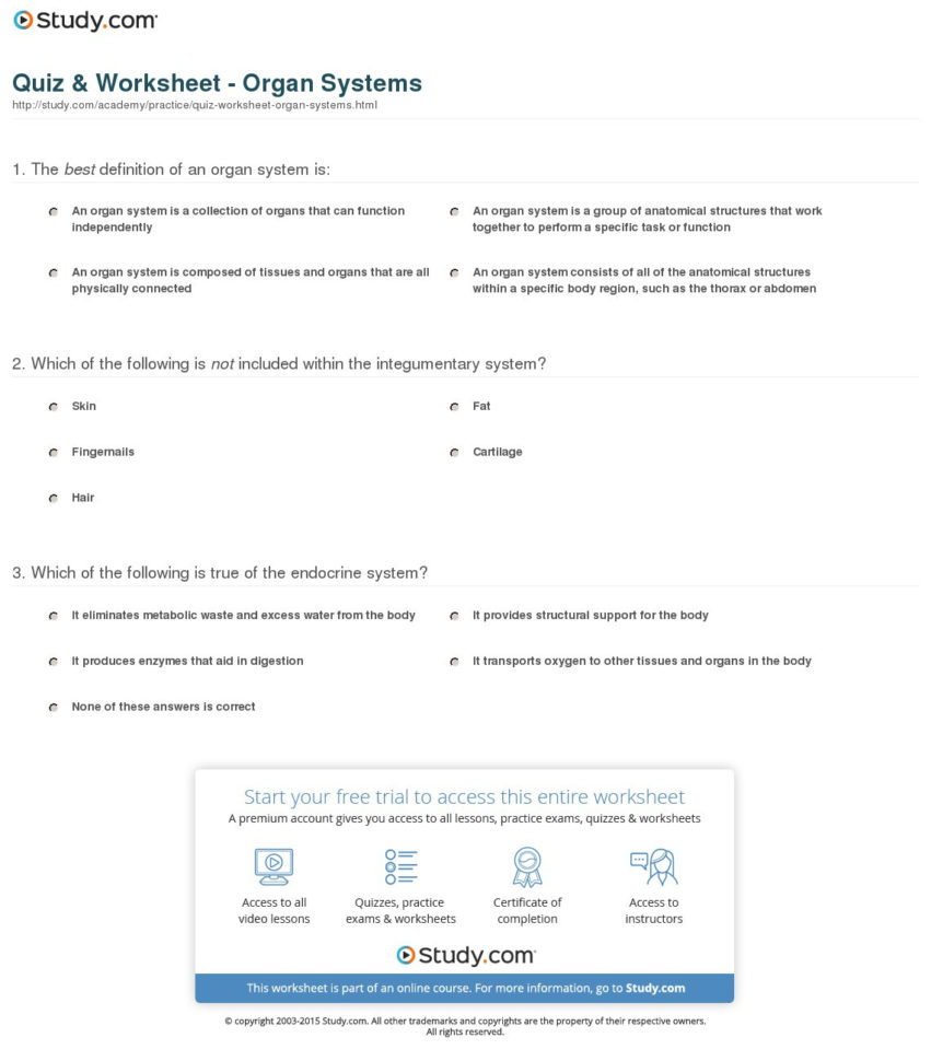Quiz  Worksheet  Organ Systems  Study