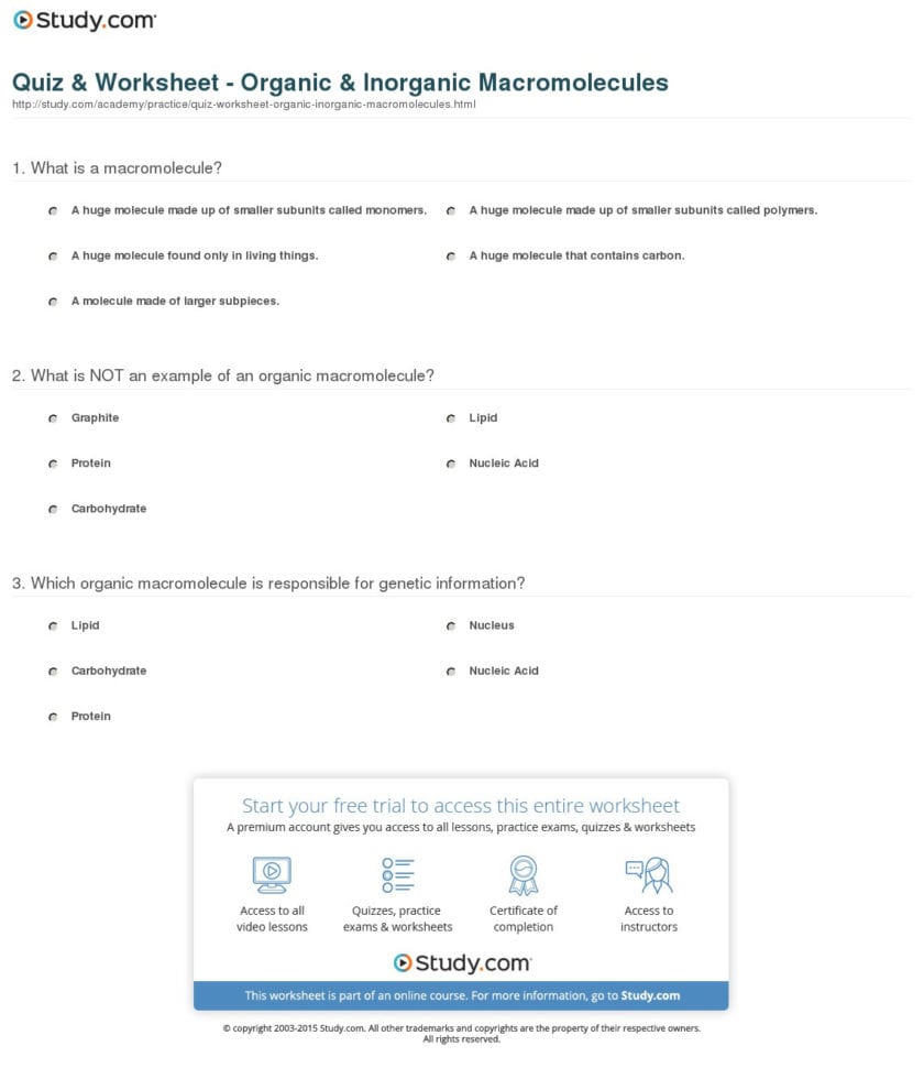 Quiz  Worksheet  Organic  Inorganic Macromolecules