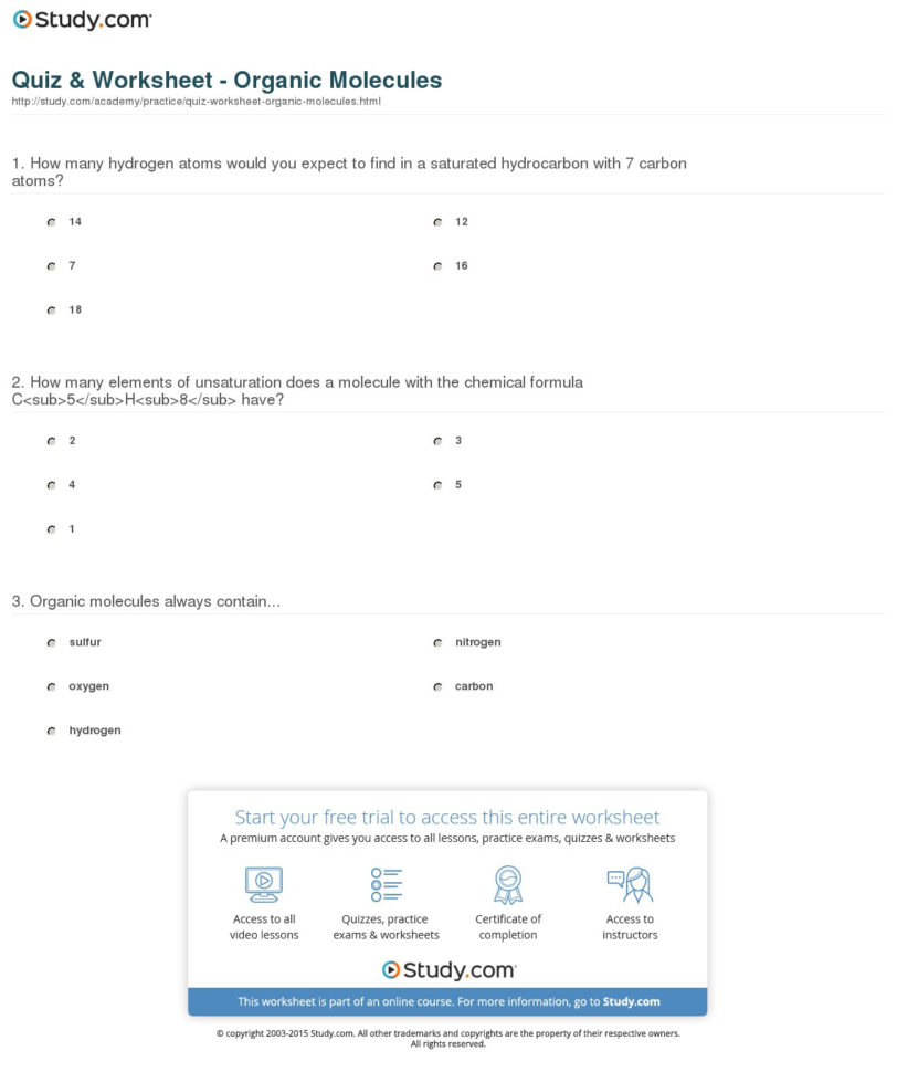 Quiz  Worksheet  Organic Molecules  Study