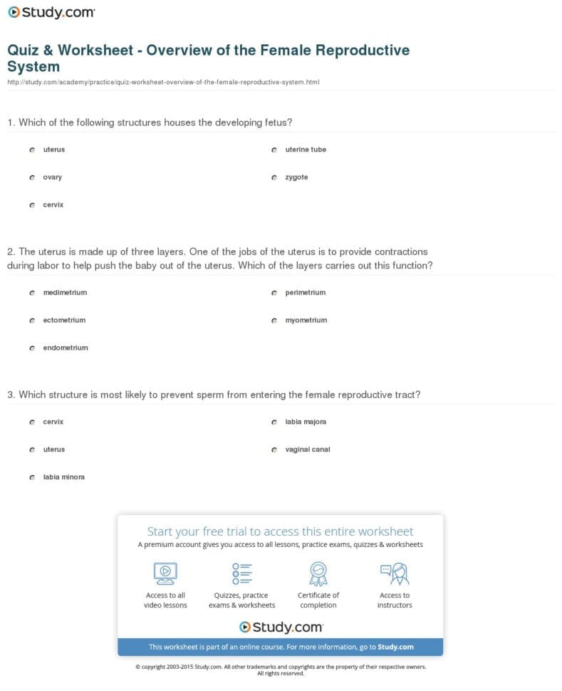 Quiz  Worksheet  Overview Of The Female Reproductive