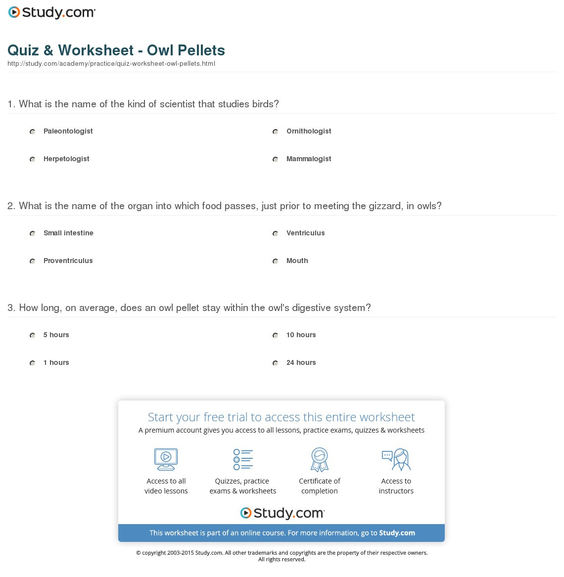 Quiz  Worksheet  Owl Pellets  Study