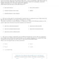 Quiz  Worksheet  Paragraph Organization In Act English