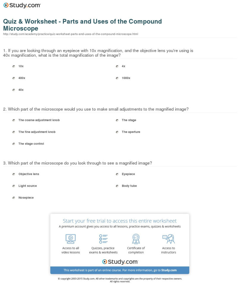 Quiz  Worksheet  Parts And Uses Of The Compound Microscope