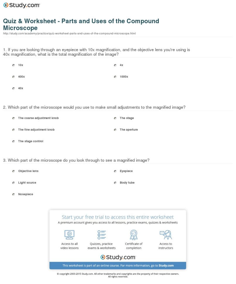 Quiz  Worksheet  Parts And Uses Of The Compound Microscope
