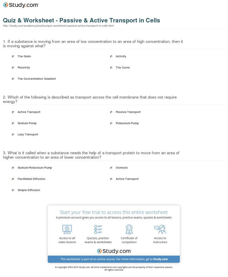 Transport In Cells Worksheet Answers