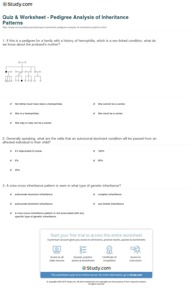 Quiz  Worksheet  Pedigree Analysis Of Inheritance Patterns