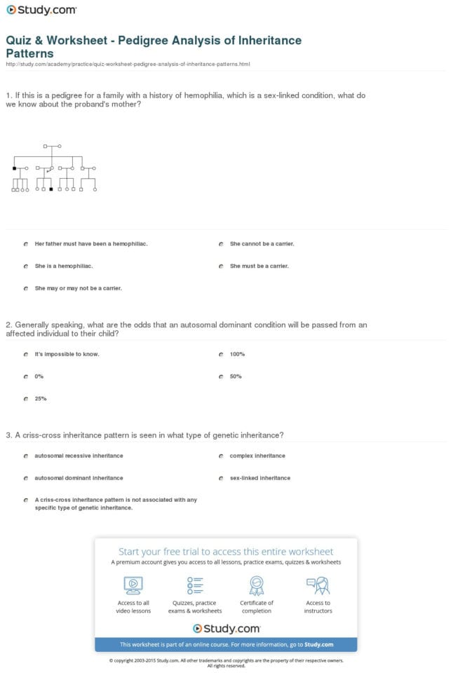 Human Inheritance Worksheet Answers