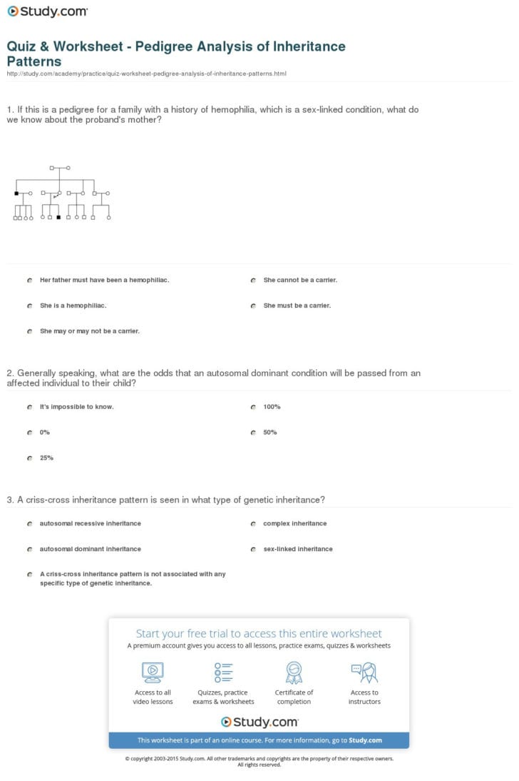 Human Inheritance Worksheet Answers — db-excel.com