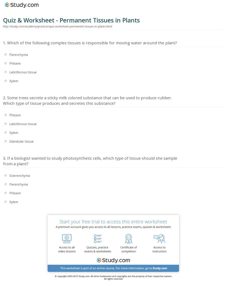 Quiz  Worksheet  Permanent Tissues In Plants  Study