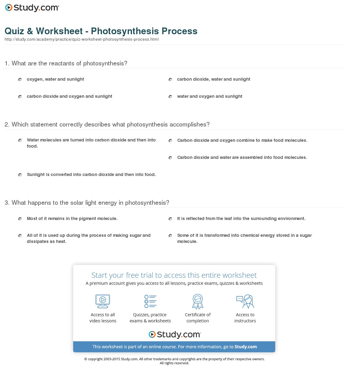 Quiz  Worksheet  Photosynthesis   Study
