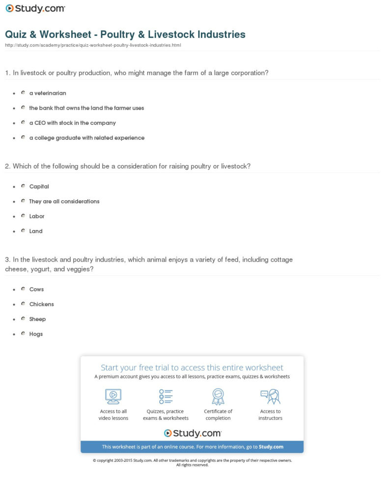 Quiz  Worksheet  Poultry  Livestock Industries  Study