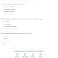 Quiz  Worksheet  Practice Multiplying Fractionswhole