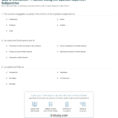 Quiz  Worksheet  Practice Using The Spanish Imperfect