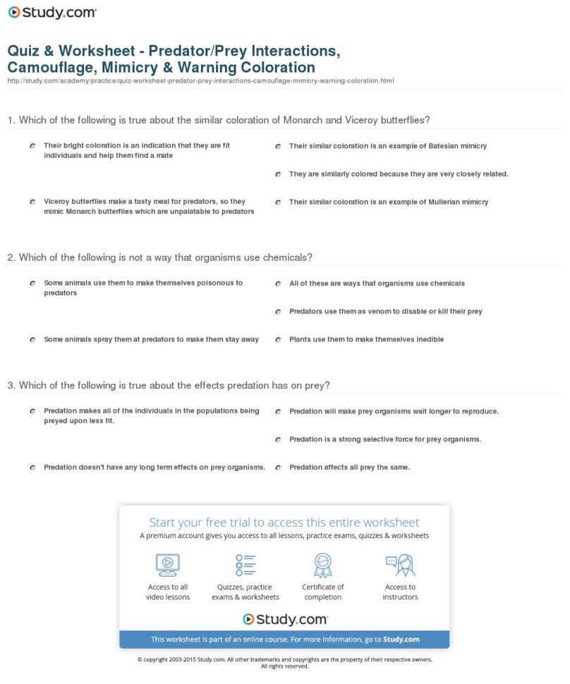 Quiz  Worksheet  Predatorprey Interactions Camouflage