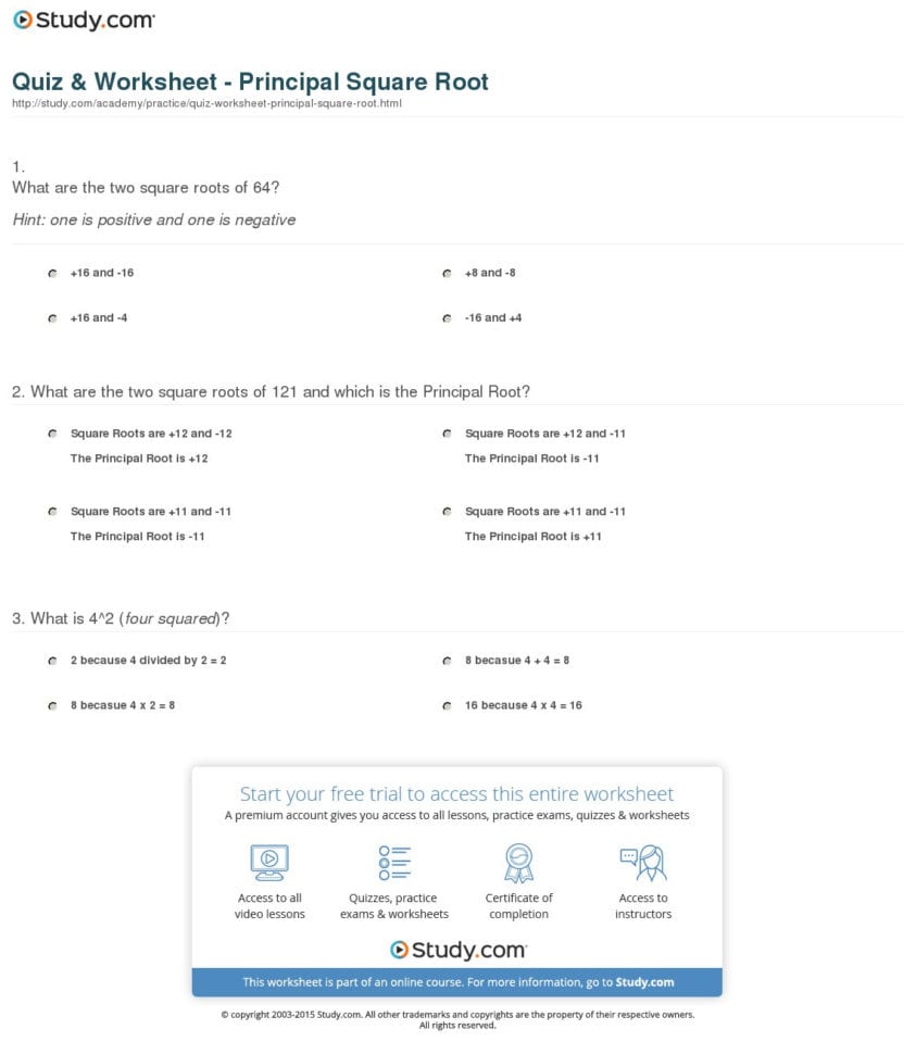 Quiz  Worksheet  Principal Square Root  Study